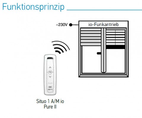 Somfy Situo 1 A/M io pure (1870721)